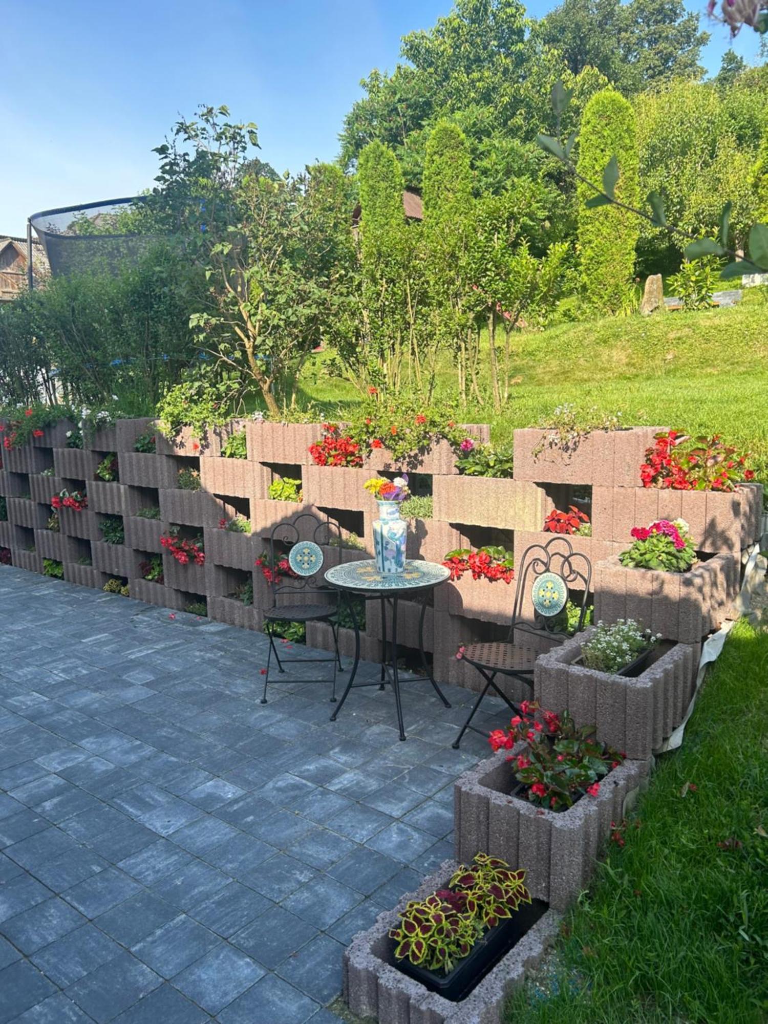 Casa Cu Magnolii Hotel Poienile Izei Exterior foto