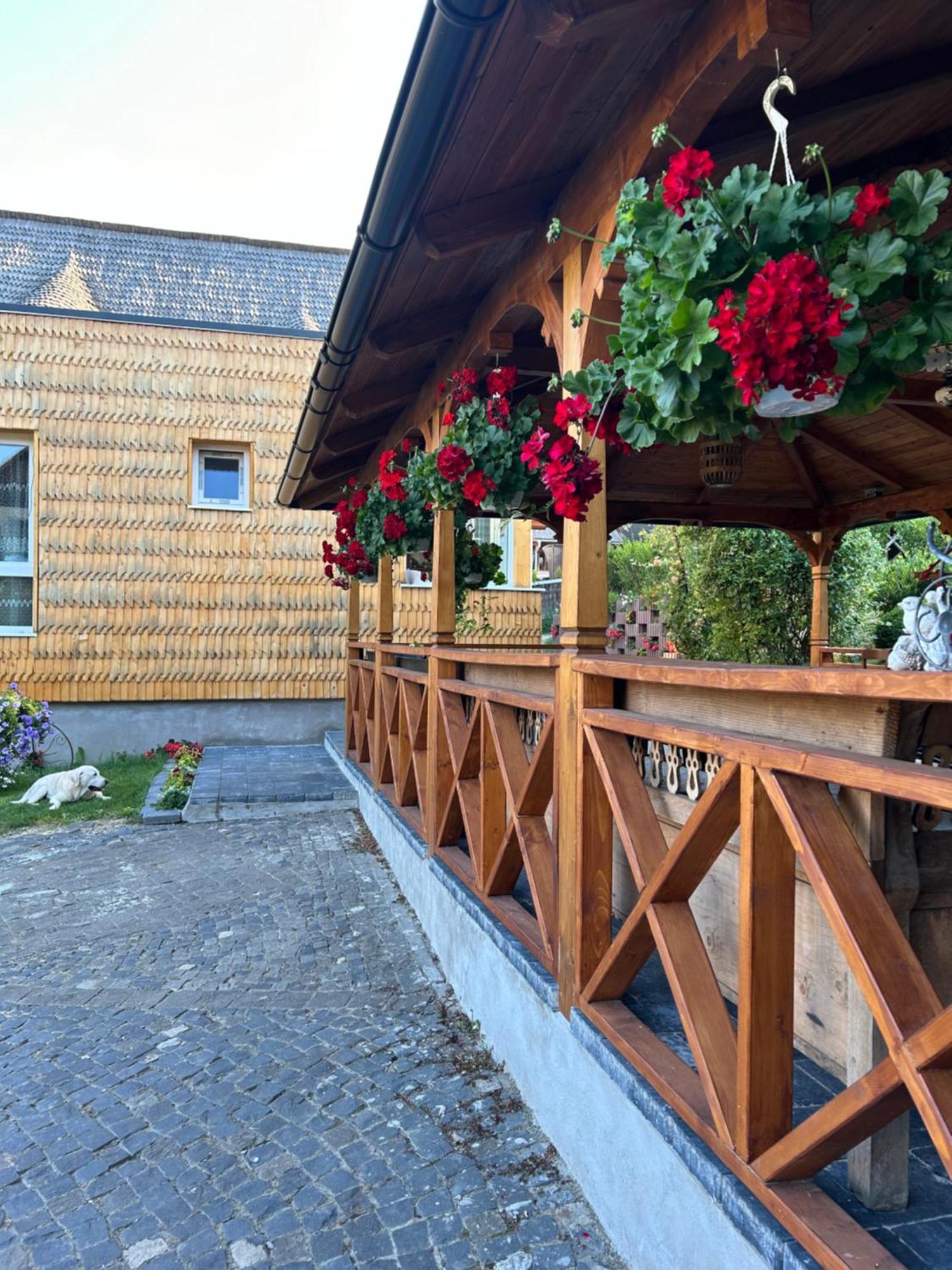 Casa Cu Magnolii Hotel Poienile Izei Exterior foto
