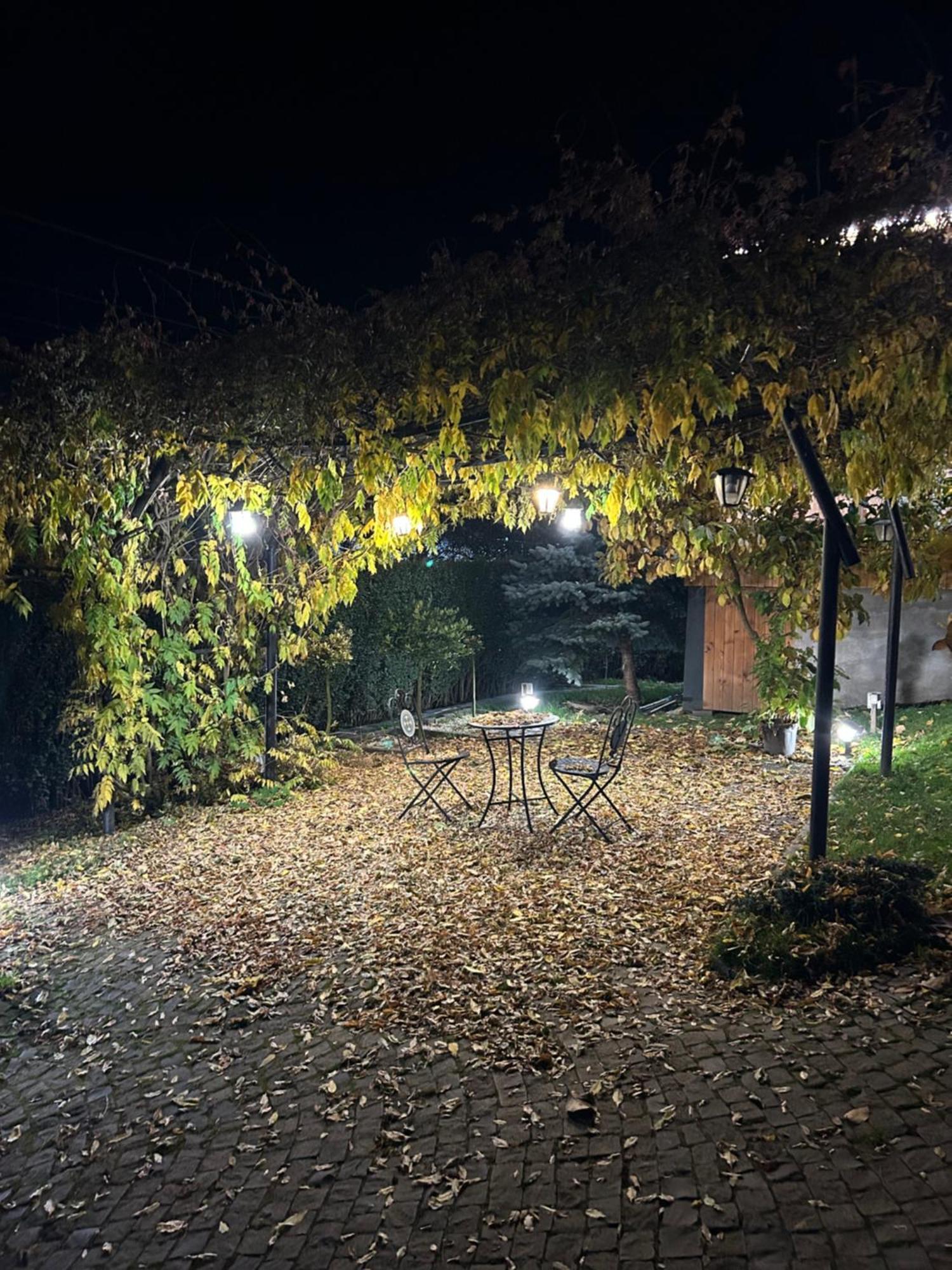 Casa Cu Magnolii Hotel Poienile Izei Exterior foto