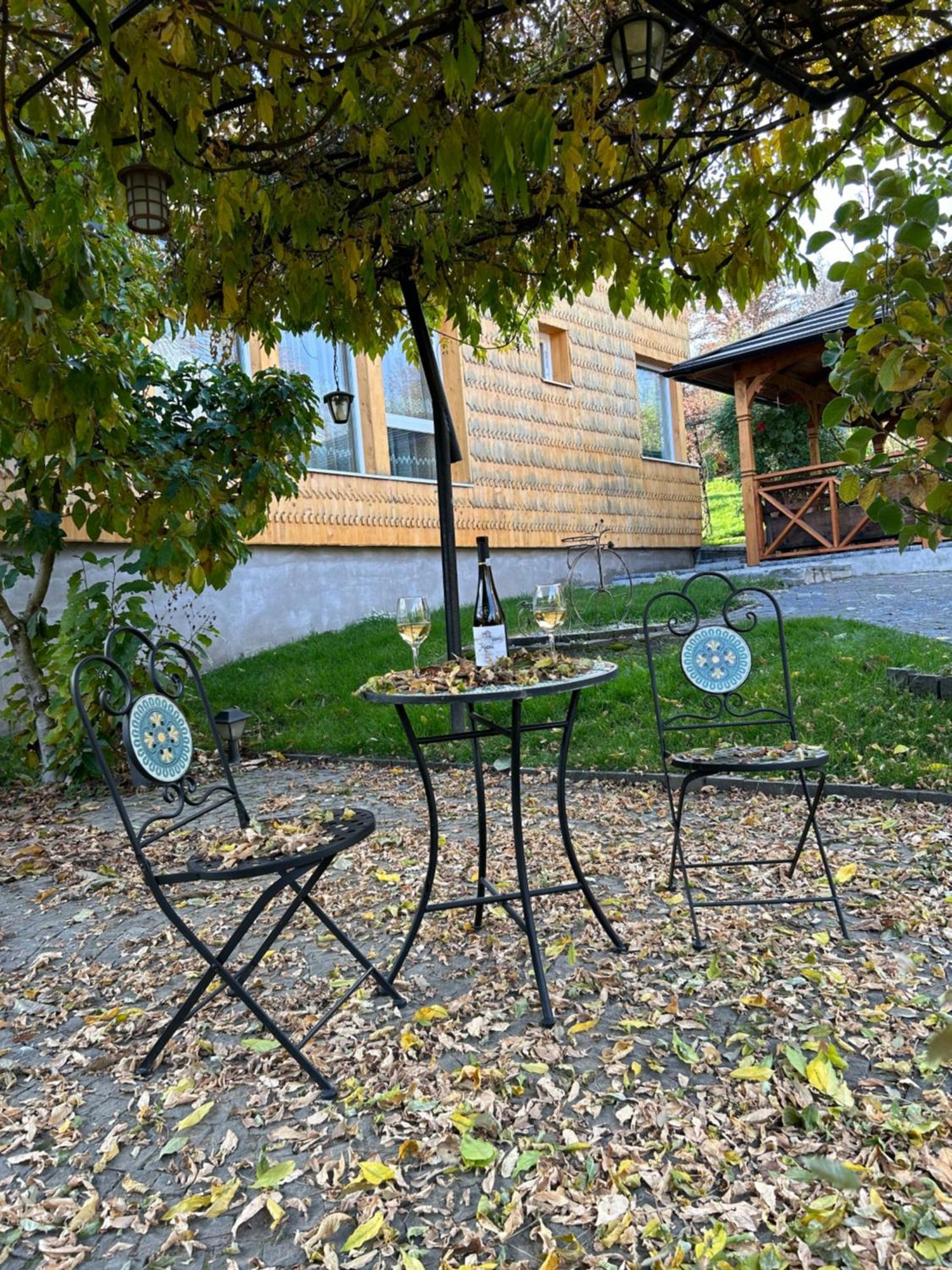 Casa Cu Magnolii Hotel Poienile Izei Exterior foto