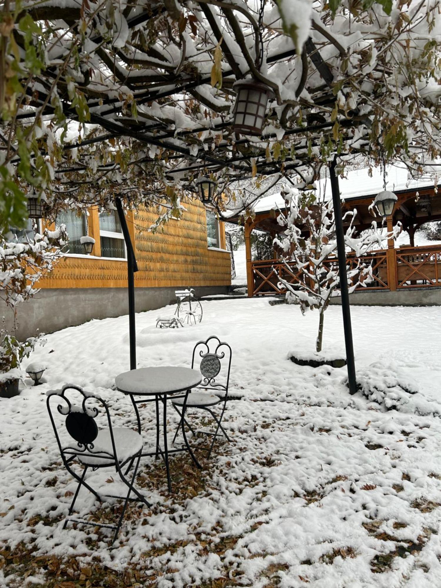 Casa Cu Magnolii Hotel Poienile Izei Exterior foto